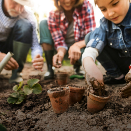 Lawn & Garden SuppliesFamily gardening