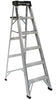 Louisville 10' Step Ladder