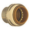 Push-On Tube Cap 1-In.