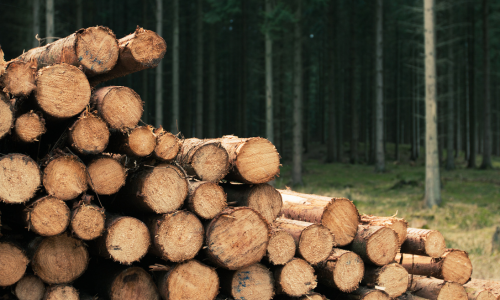 Stacked wood