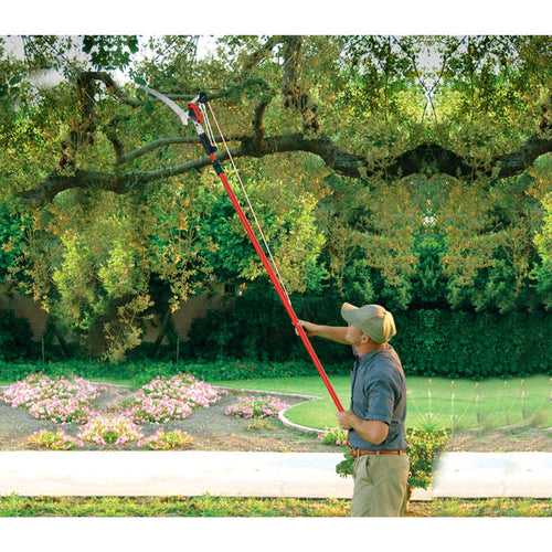 Corona DualLINK Tree Saw and Pruner, 14 ft. Pole